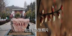 襄阳万山梅园驴友相册