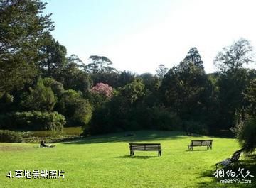 保山北廟湖公園-草地照片