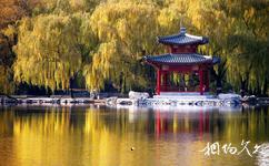 北京紫竹院公园旅游攻略之菡萏亭