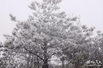 泉州紫雲山風景區-霧凇照片