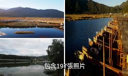 騰衝北海濕地驢友相冊