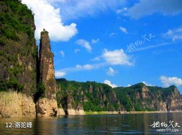 靖宇县白山湖景区-骆驼峰照片