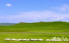 内蒙古白音熬包国家级自然保护区旅游攻略之草原