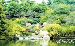 广州珠江公园旅游攻略之荫生园