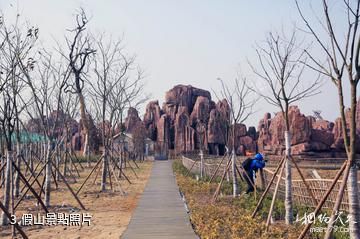 大豐丹頂鶴珍禽園-假山照片