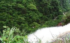重庆江津四面山国家森林公园旅游攻略之土地岩景区