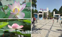 深圳洪湖公園驢友相冊