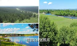 呼伦贝尔红花尔基樟子松森林公园驴友相册