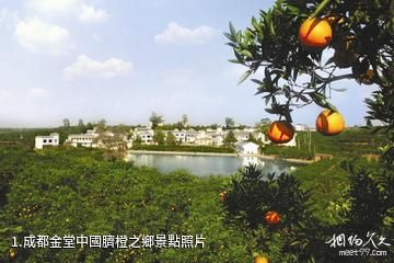 成都金堂中國臍橙之鄉照片