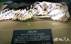 山西地質博物館旅遊攻略之山西鱷化石
