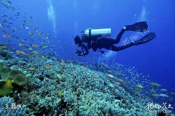 三亚亚龙湾海底世界-潜水照片