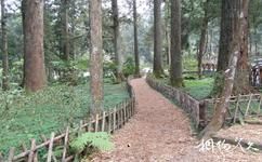 台湾溪头森林公园（溪头自然教育园区）旅游攻略之桧木步道