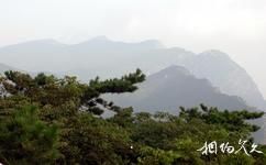 萊蕪房干生態旅遊攻略之五老峰