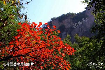 洛陽洛寧縣神靈寨風景區-神靈岳廟照片
