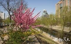 北京濱河公園旅遊攻略之綠化