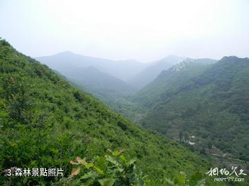 海城九龍川自然保護區-森林照片