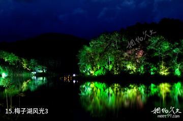 思茅梅子湖公园-梅子湖风光3照片