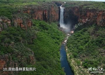 澳大利亞卡卡杜國家公園-原始森林照片