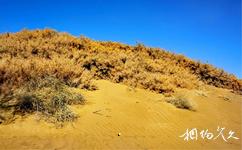 玛纳斯土炮营国家沙漠公园旅游攻略之沙丘