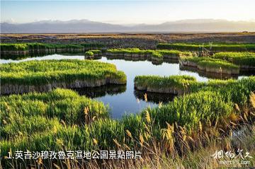 英吉沙穆孜魯克濕地公園照片