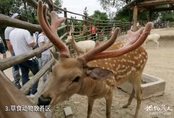 西宁青藏高原野生动物园-草食动物散养区照片