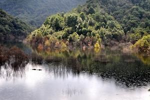 江西赣州龙南旅游攻略-安基山林场景点排行榜