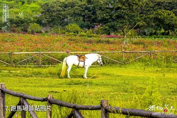 日照花仙子風景區-跑馬場照片