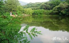 魯山國家森林公園旅遊攻略之錦鱗湖