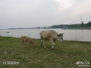 南阳望花湖风景区-田园风光照片