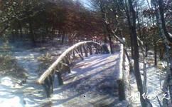 加格达奇北山公园旅游攻略之绿月桥
