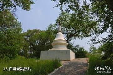 大慶大廟風景名勝區-白塔照片