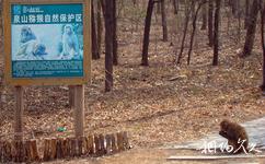 徐州泉山森林公园旅游攻略之猕猴观赏区