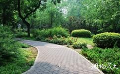 北京官园公园旅游攻略之绿化