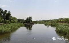 山西孝河國家濕地公園旅遊攻略之蛙鳴池