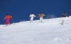 宁夏苏峪口国家森林公园旅游攻略之滑雪场