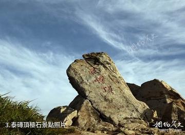 山東昆嵛山國家級自然保護區-泰礡頂極石照片
