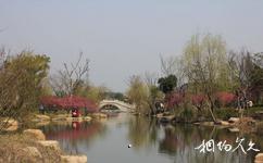 浙江超山旅游攻略之四季花海