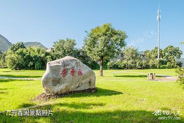 西安周至秦嶺國家植物園-芳香園照片