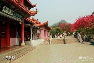 兴义贵州醇景区-奇香楼照片