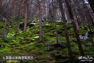 阿拉善盟賀蘭山國家狩獵場-賀蘭山景緻照片