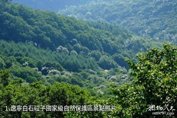 遼寧白石砬子國家級自然保護區照片