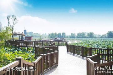 淄博天鵝湖國際慢城-親水棧道照片