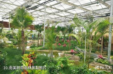 臨沂蘭陵國家農業公園-南美熱帶雨林照片