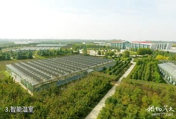 杨凌现代农业示范园创新园-智能温室照片