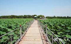 瀋陽仙子湖風景度假區旅遊攻略之六曲橋