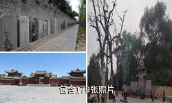周口太昊陵庙驴友相册