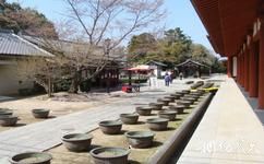 日本藥師寺旅遊攻略之美麗景緻