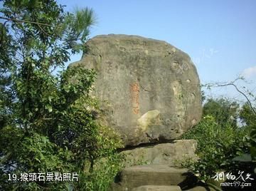 重慶聖燈山森林公園-猴頭石照片
