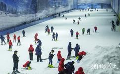 忻城薰衣草莊園旅遊攻略之冰河世紀滑雪場