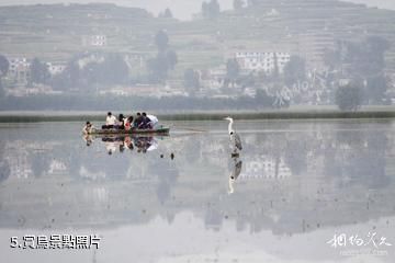 威寧草海國家級自然保護區-賞鳥照片